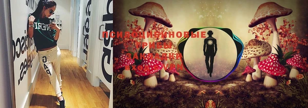 марки lsd Алексеевка