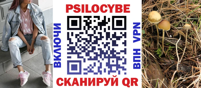 Галлюциногенные грибы Magic Shrooms  Гаврилов Посад 